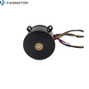 12V DC Brushless Motor