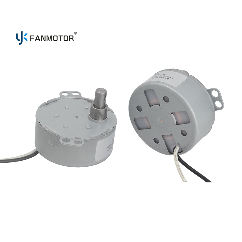 AC 4W Energy-Saving 50TYZ CW/CCW Reversible Synchronous Motor